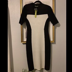Gianni Bini dress